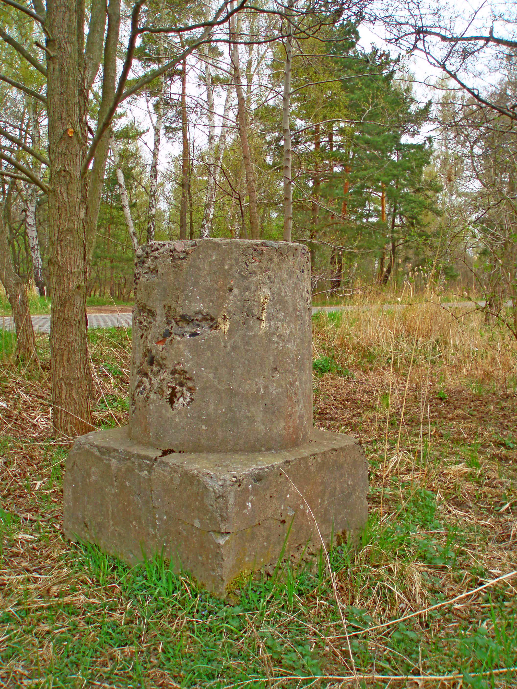 Jeż cementowy photo